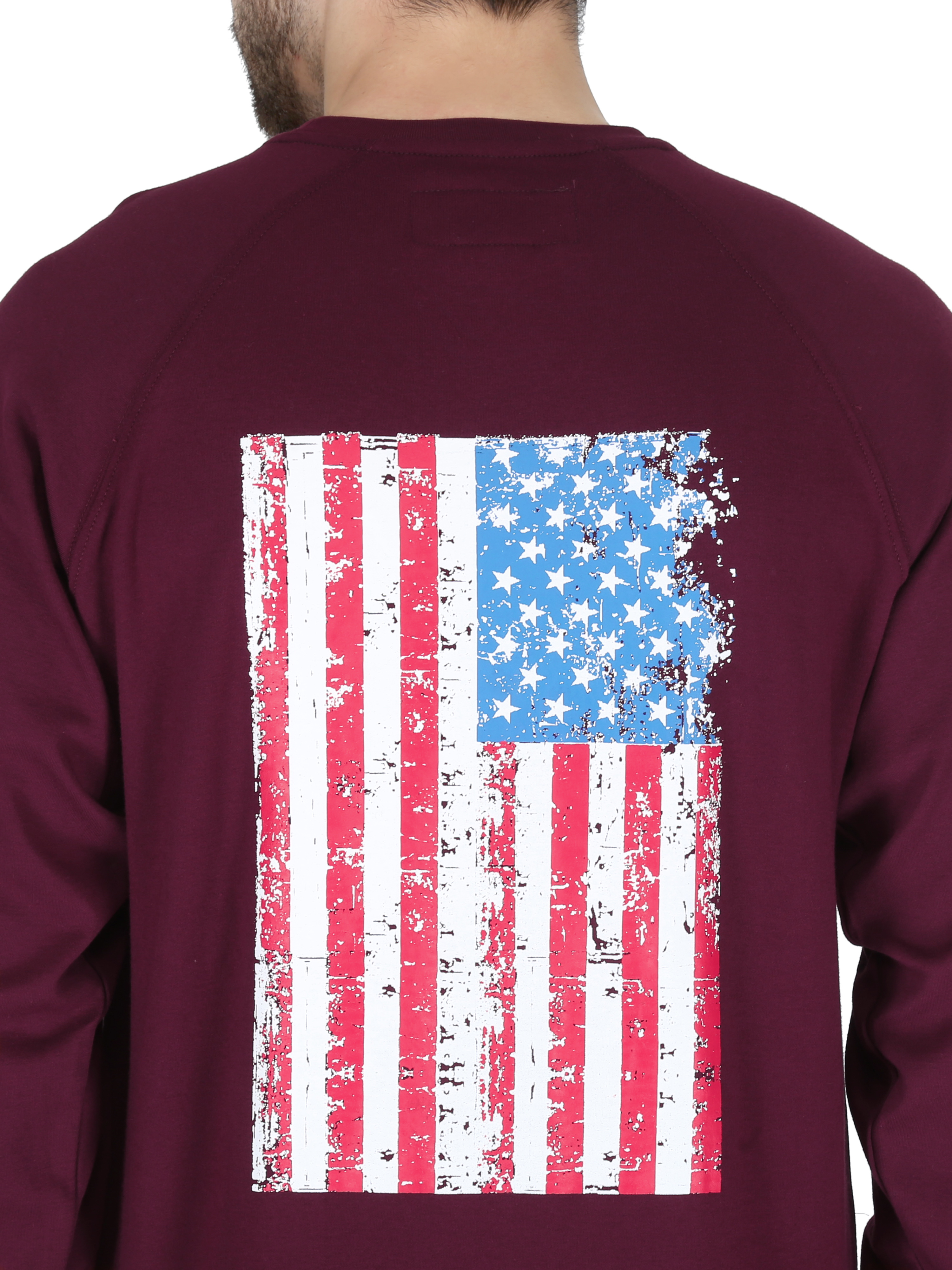 Picture of Forge FR MFRCNGP65 L/S MEN'S BURG FLAG PRINT GRAPHIC CREW NECK T-SHIRT